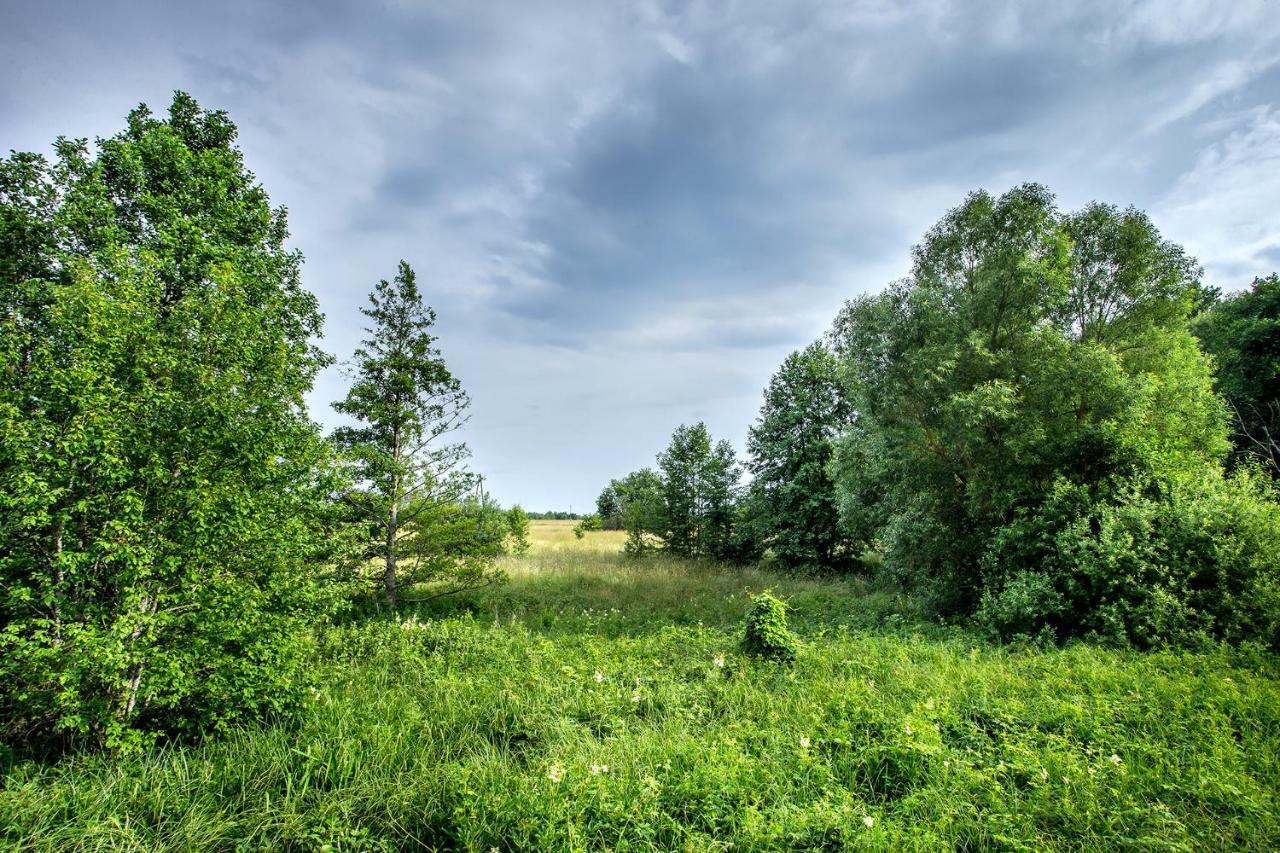 Blizej Natury Bialowieza Exterior photo